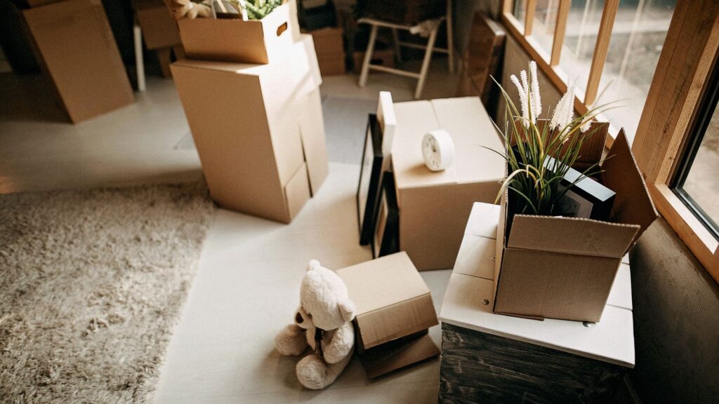 költöztetés-hegyesilog